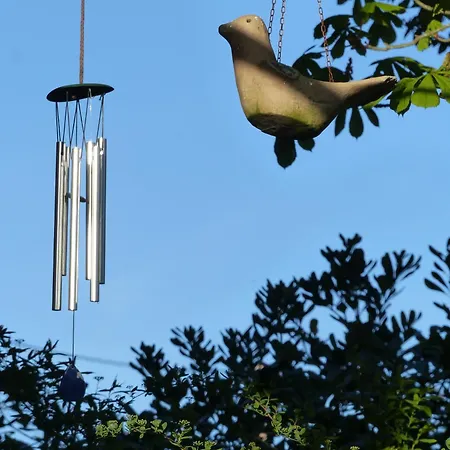 Absolut Oiseaux Oda ve Kahvaltı 3*