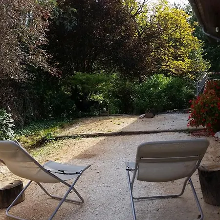 Absolut Oiseaux Bed & Breakfast
