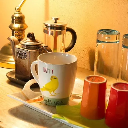 Bed & Breakfast Absolut Oiseaux Parisot (Tarn)