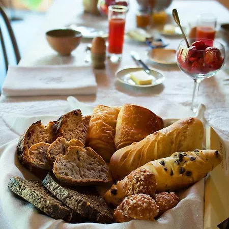 Absolut Oiseaux Bed & Breakfast Parisot (Tarn)
